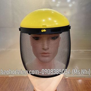 Bộ mặt nạ che mặt dạng lưới B1 + FC29M - Hình thật