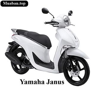 Dè chắn bùn con dành cho xe Janus