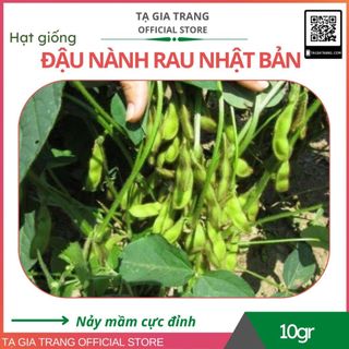 Hạt giống Đậu Nành Rau Nhật Bản tốt cho sức khỏe - Gói 10g