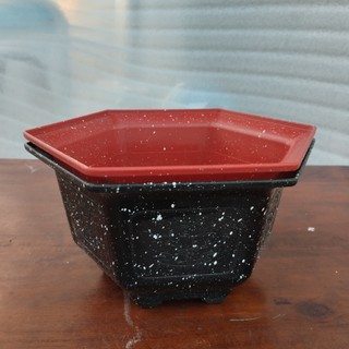 10 cái chậu nhựa lục giác đá đen hoặc đỏ 2t1, chậu mini, chậu bonsai