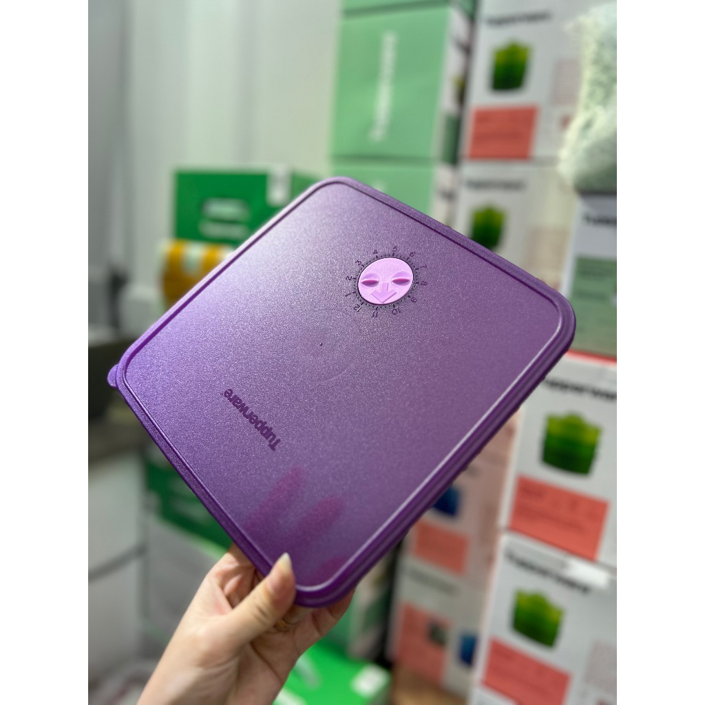 HỘP ĐỰNG BẢO QUẢN THỰC PHẨM TUPPERWARE 2.3L