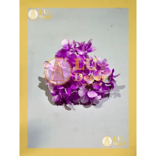 Đầu hoa Cẩm tú cầu | LU