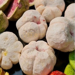 MĂNG CỤT SẤY THĂNG HOA VILIFARM