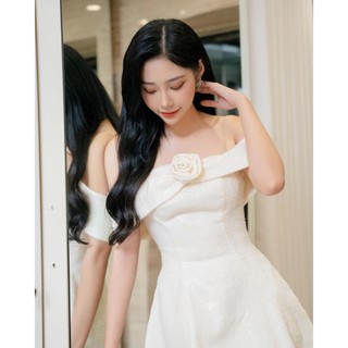 Đầm nữ tiểu thư