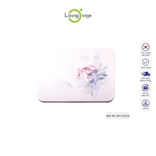 Thảm đá thấm nước nhà tắm [size nhỏ-450x390mm] thảm chùi chân - thảm lót úp chén công nghệ Nhật Bản
