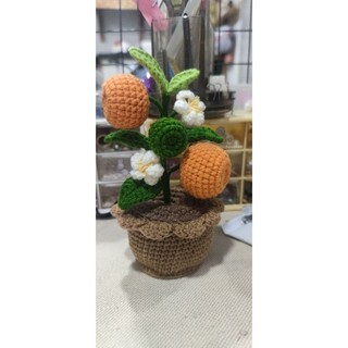 Chậu hoa bé heo bằng len (Ảnh Thật) - có nhiều phân loại để lựa chọn