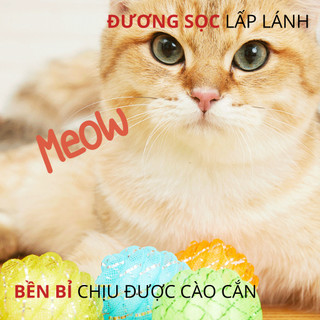 Bóng đồ chơi chó mèo FOFOS, Đồ chơi Banh tròn chó mèo, Chứa catnip, Chuông leng keng, Tạo hình đáng yêu, An toàn, Bền bỉ