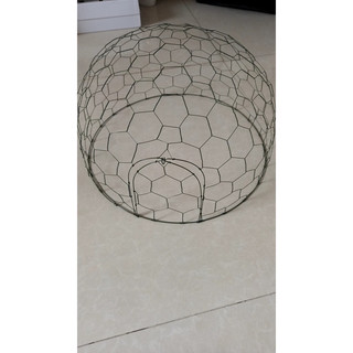 Bội bẩy chim cu gáy mồi đất đan lục giác