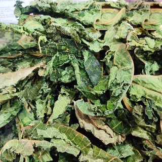 [Trà khô chất lượng cao] Lá đu đủ đực khô 500g - Tấn Phát
