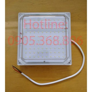 Đèn led kho lạnh 20w - Đèn led kho đông 20w chịu lạnh tới -40 độ C, Ip68 dùng trong kho lạnh, kho đông, phòng sạch