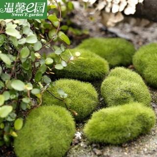 Rêu nhân tạo trang trí mô hình, phụ kiện trang trí tiểu cảnh, DIY, terrarium