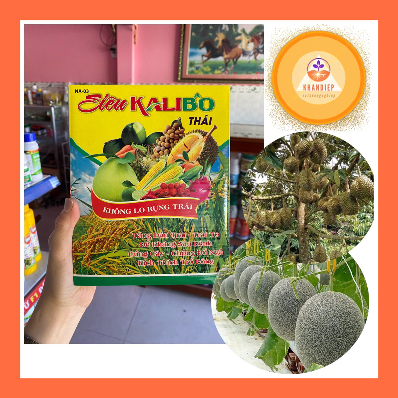 Siêu kali bo - phân bón rễ vi lượng siêu kali bo Thái cho cây trồng 100g