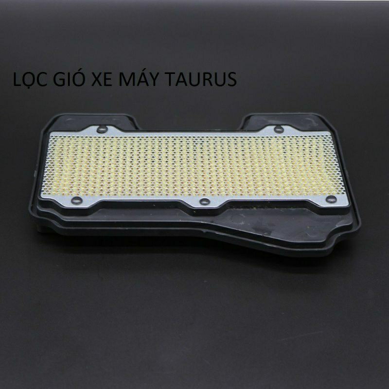 Lọc gió xe - Taurus hiệu Filtek