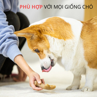 Đồ chơi cho chó FOFOS, Đồ chơi nhai gặm hình sừng hươu, Chứa sợi gỗ thông, Tốt cho răng nướu, Chất liệu bền đẹp, an toàn