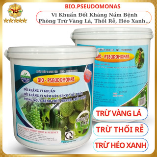 PSEUDOMONAS Đối Kháng Nấm Bệnh Trừ Vàng Lá, Thối Rễ, Héo Rủ Héo Xanh - Xô 2kg