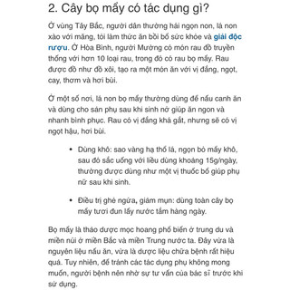 Cây Rau Đắng ( Đắng cảy, Bọ mẩy) - Combo 3 Cây