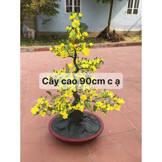 cây mai đào 90cm trang trí tết