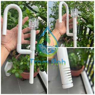 Inout nhựa trắng phi 12 - 16 - 20