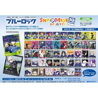 Pack nhân phẩm Blue lock - pola, snap, standee