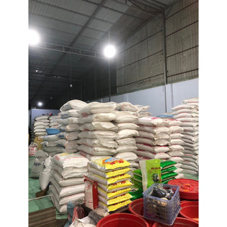 THơm lài NHẬT tròn dẻo vừa.