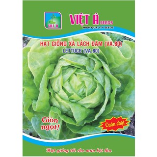Hạt giống xà lách đăm va.80 2 gam và 10 gam