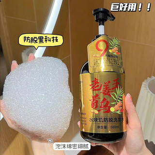 Dầu gội gừng tươi