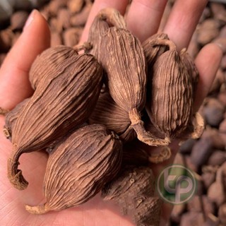 [Trà thơm sạch túi lớn loại 500gram] Thảo quả khô - Thảo dược Tấn Phát