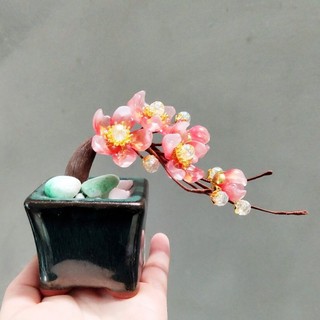 Chậu hoa đào mini bonsai, hoa để bàn decor trang trí