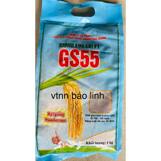 Hạt giống lúa lai f1 gs55 gói 1kg.