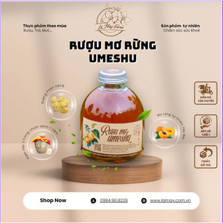 Rượu mơ rừng Umeshu làm từ rượu nếp mơ ta đường phèn vàng ủ chum sành 1 năm, Rượu tết - Lá Mây Farm
