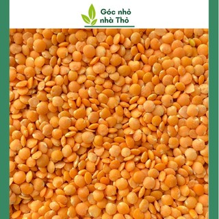 500g đậu lăng đỏ tách vỏ hữu cơ