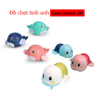 1 Rùa vặn cót bơi trong nước