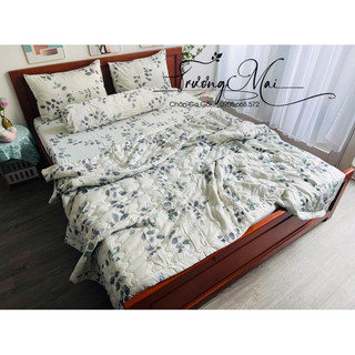 Drap Tencel lụa mát mịn kèm chăn chần gòn