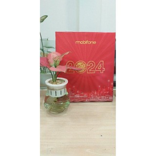 Lịch bloc 2024 siêu đại