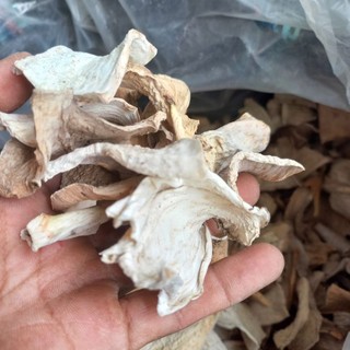 Bạc hà núi phơi khô sạch trắng đẹp 500g thượng hạng