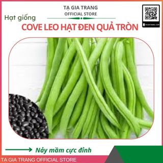 Hạt giống đậu cove leo cao sản (quả tròn, hạt đen, hoa tím) - Shop hạt giống Tạ Gia Trang