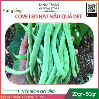 Hạt giống cove leo nâu, đậu trạch (hạt nâu, quả dẹt, hoa trắng)