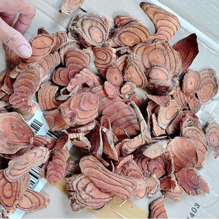 1 kg cây huyết đằng khô- giúp ăn ngon, ngủ tốt, tăng cân