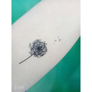 Hình xăm dán hoa bồ công anh đủ size