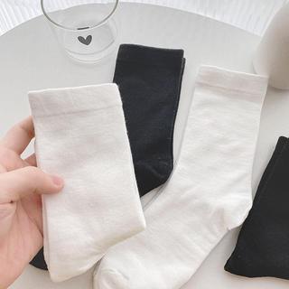 Tất Vớ Trơn Basic Cổ Cao Chất Mỏng Nhẹ Và Dày