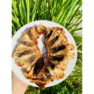 KHÔ CÁ ĐUỐI MẮM ME - 500Gr