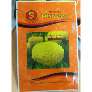  Hạt Giống Hoa Vạn Thọ Rồng Vàng Mê Kông 45 và Mê Kông 46 
