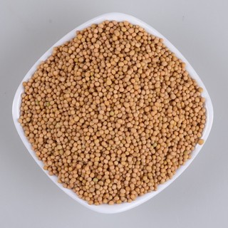 Bạch giới tử khô - Tấn Phát