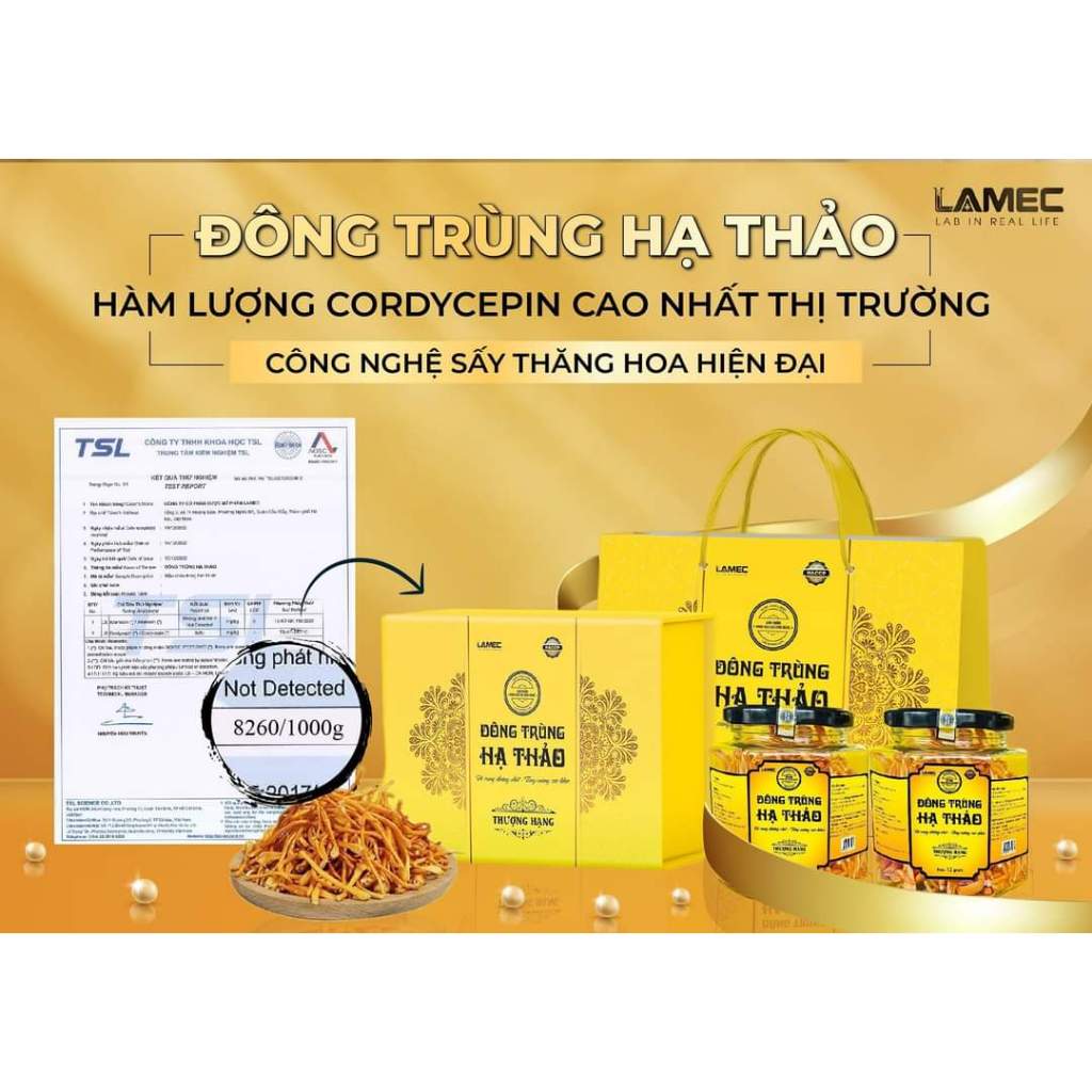 Đông trùng hạ thảo - Viện Hàn lâm KHCNVN