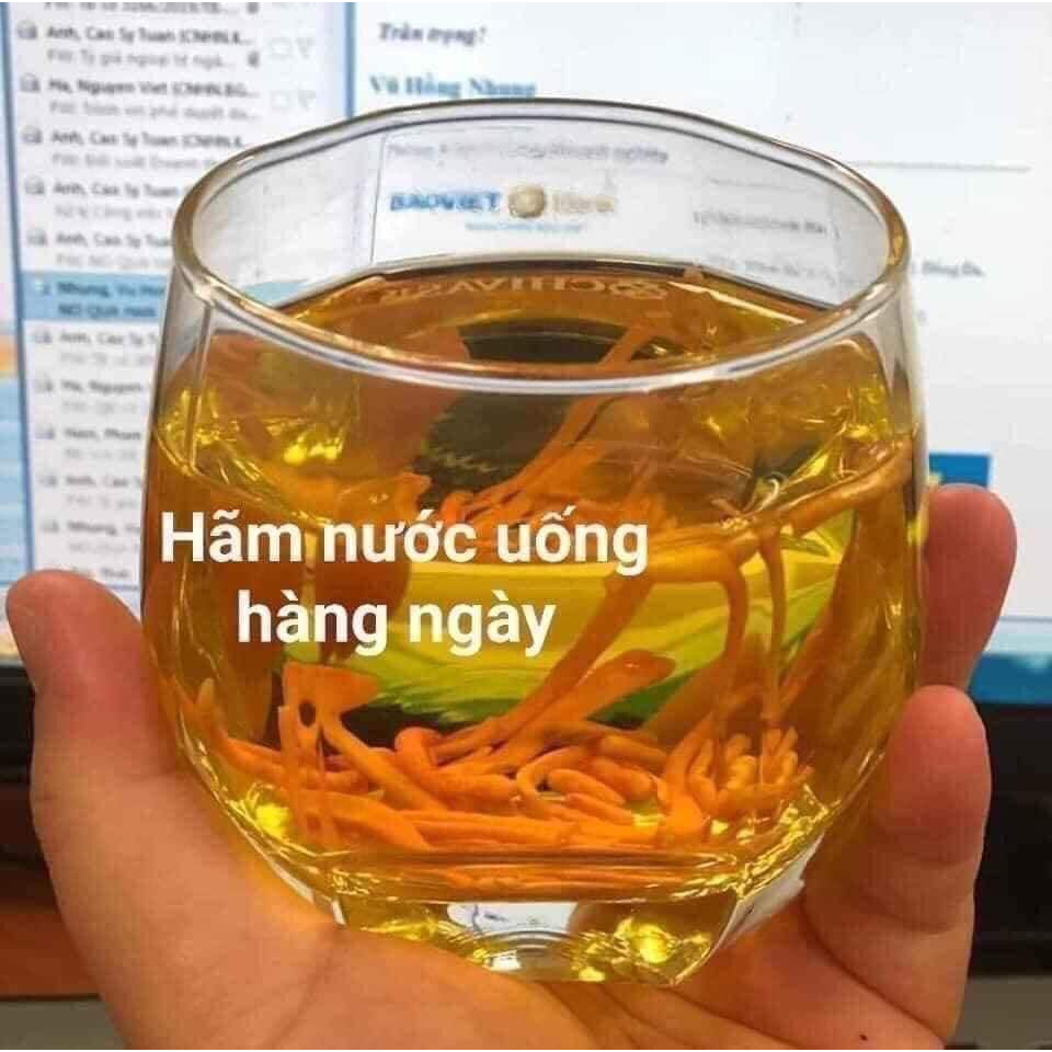 Đông trùng hạ thảo - Viện Hàn lâm KHCNVN