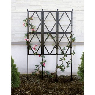 Khung hoa hồng leo rộng 60cm cao 120cm giàn trồng hoa leo giàn