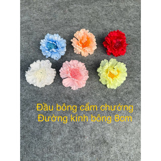 Đầu bông cẩm chướng