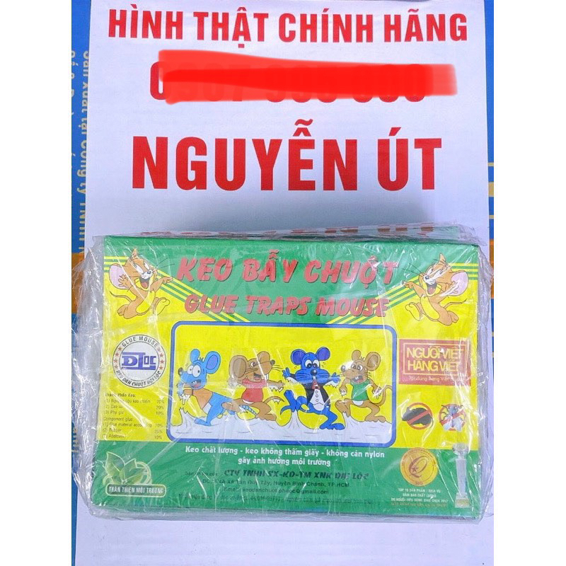 keo dán chuột lốc 20 miếng