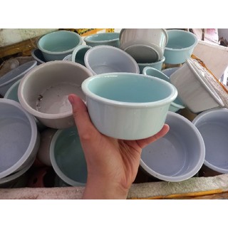 Chậu gốm Trồng Sen đá xương rồng Để Bàn