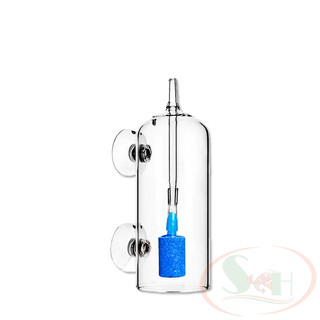Chụp thủy tinh sủi oxy chống văng nước oxy hòa tan bể cá tép thủy sinh cảnh
